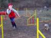 Photo Number 5