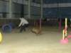 Photo Number 4