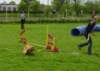 Photo Number 6