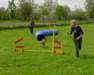 Photo Number 7