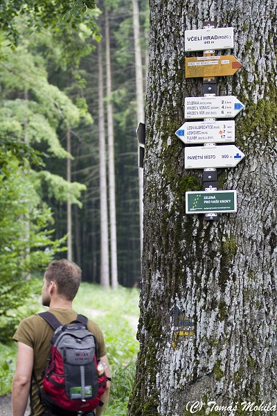 Hradec nad Moravicí, červen 2010