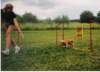 Photo Number 5
