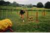 Photo Number 6